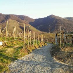 Landscape with mountain range in background