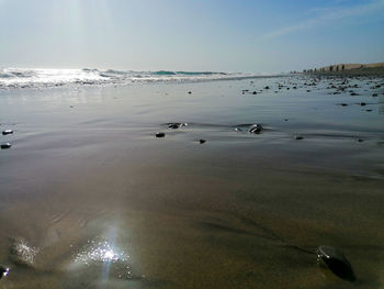 water