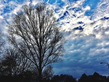 Low angle view of tree against cloudy sky