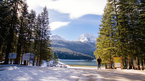 Trees by mountains against sky during winter