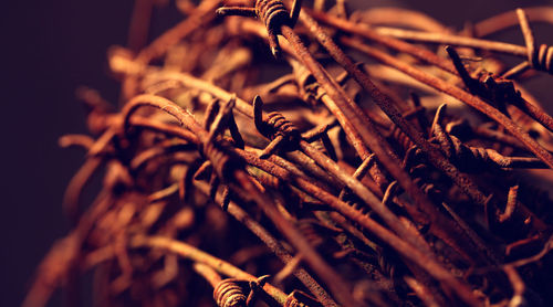 Close-up of rusty barbed wires