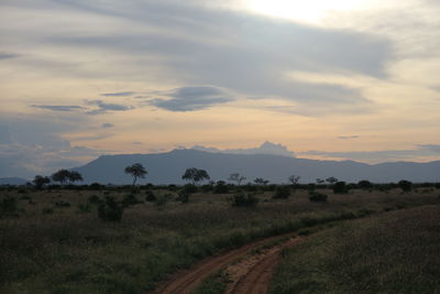 Scenic view of landscape against sky during sunset