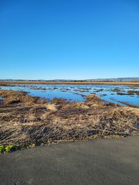 Scenic view of beach against clear blue sky