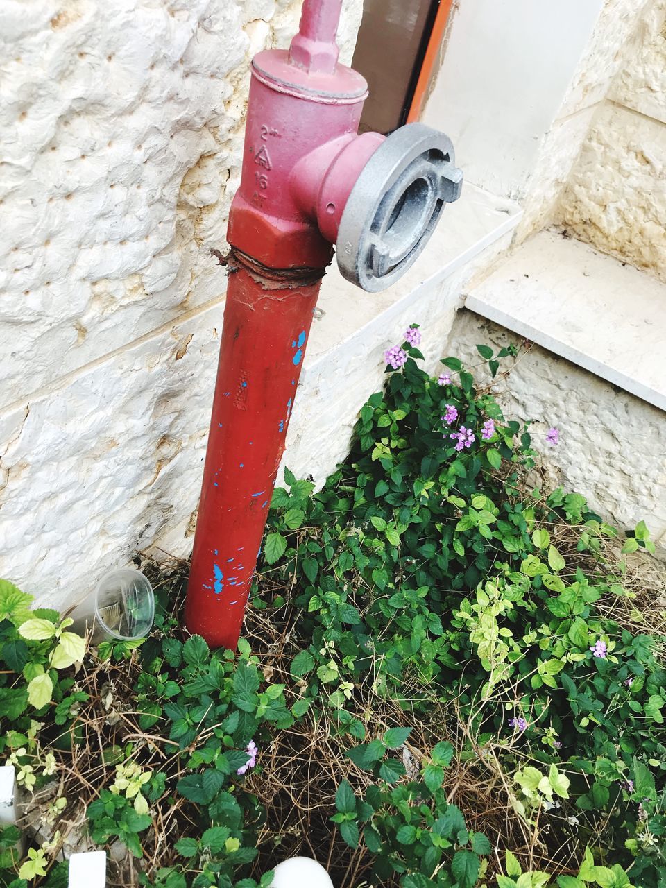 RED FIRE HYDRANT AND PIPE