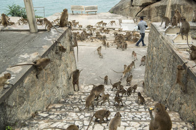 High angle view of people on staircase