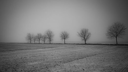 Bare trees on field against sky