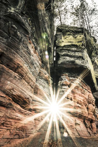 Low angle view of rock formation in forest