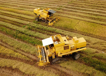 View of agricultural field