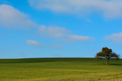 Single tree on green landscape against sky