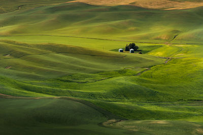 Scenic view of agricultural landscape