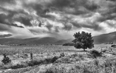 Scenic view of grassy field against cloudy sky