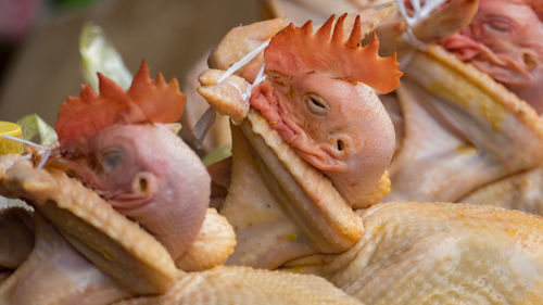 Full frame shot of garlic on flowers