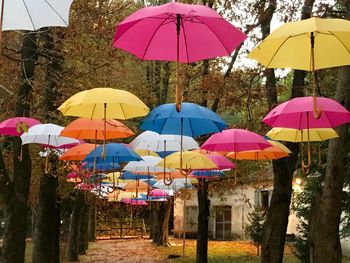 Multi colored umbrella at park