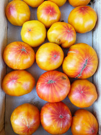Yellow heirloom tomatoes in the local market