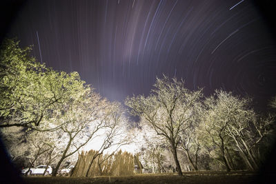 Low angle view of trees against sky at night