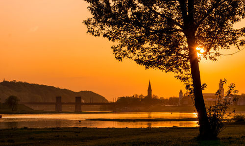 Silhouette trees by river against orange sky