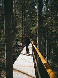 Full length of man walking amidst trees on footbridge at forest