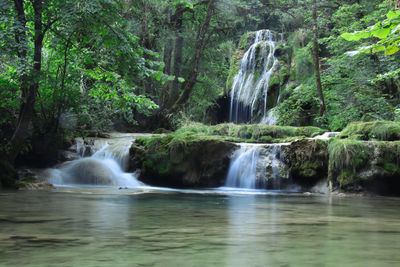 Scenic view of waterfall in forest
