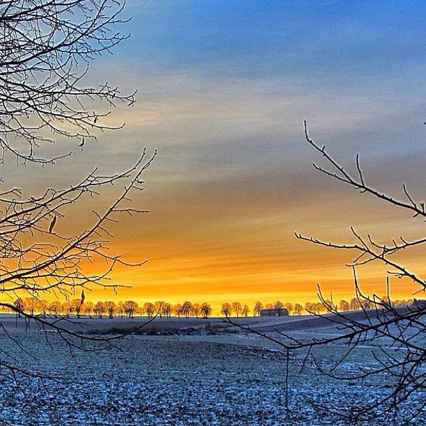 sunset, bare tree, scenics, sky, tranquility, orange color, tranquil scene, landscape, beauty in nature, nature, branch, field, silhouette, idyllic, cloud - sky, outdoors, winter, no people, tree, cold temperature