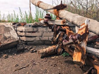 Stack of logs against trees