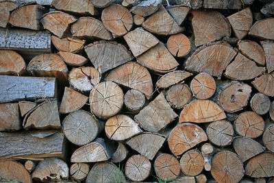 Cutted wood