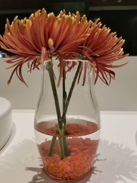 Close-up of vase on table