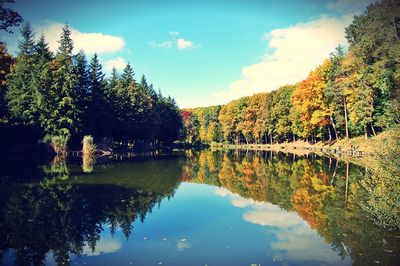 Reflection of trees in lake