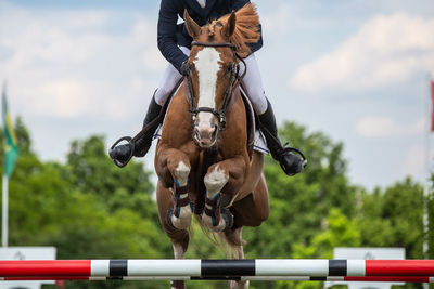 Horse jumping, equestrian sports, show jumping competition themed photograph.