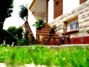 Houses and trees on field in lawn