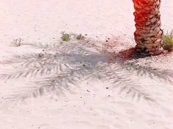 High angle view of wet sand on beach