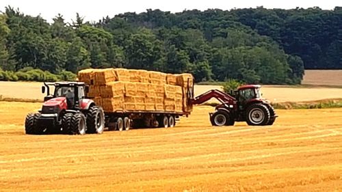 Tractor on field