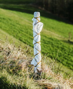 Close-up of fence post on grassy field