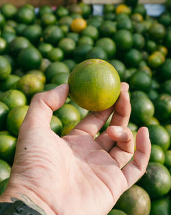 Close-up of hand holding fruit