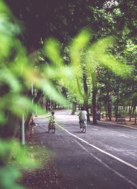 Man on road amidst trees