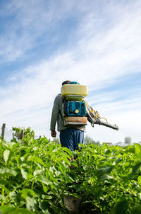 Farmer with a mist sprayer. protection of cultivated plants from insects and fungal infections. 