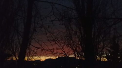 Silhouette trees against sky at night