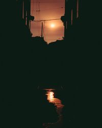 Silhouette plants against illuminated orange sky during sunset