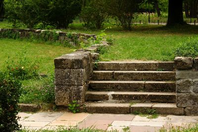 Staircase by tree