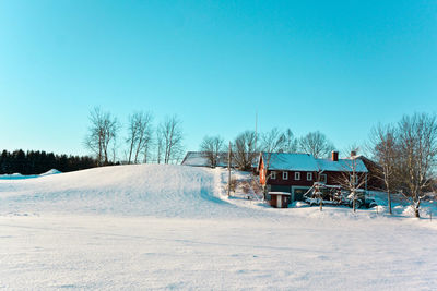 Bare trees on snow covered landscape