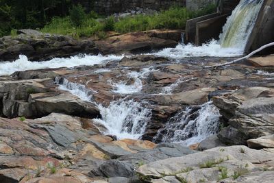 Close-up of water flowing through rocks