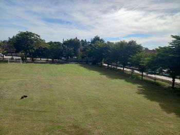 View of grassy field against sky