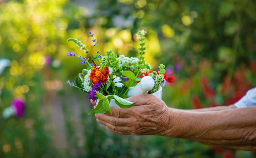 Close-up of hand holding flowers