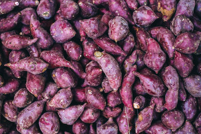 Full frame shot of purple beans