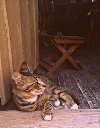 Cat lying on wall