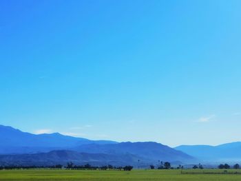 Green grass with a smoky mountains .blue sky.