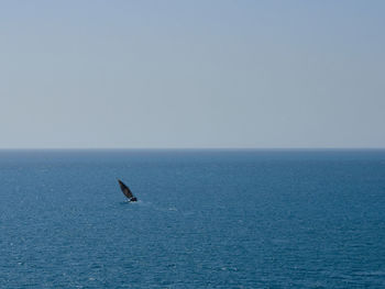 View of sea against clear sky