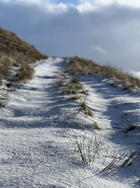 winter