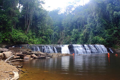 Scenic view of waterfall in forest