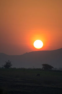 Scenic view of sunset