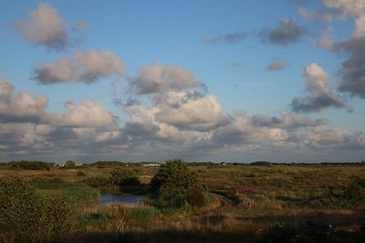 sky